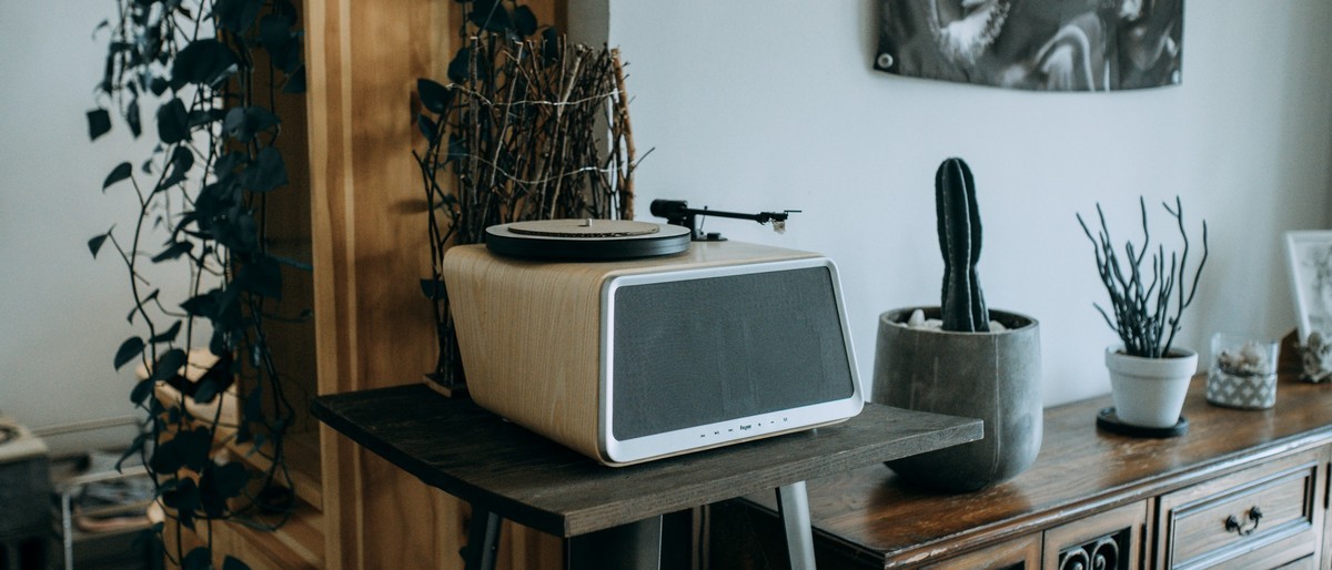 【罗兵】做我的猫