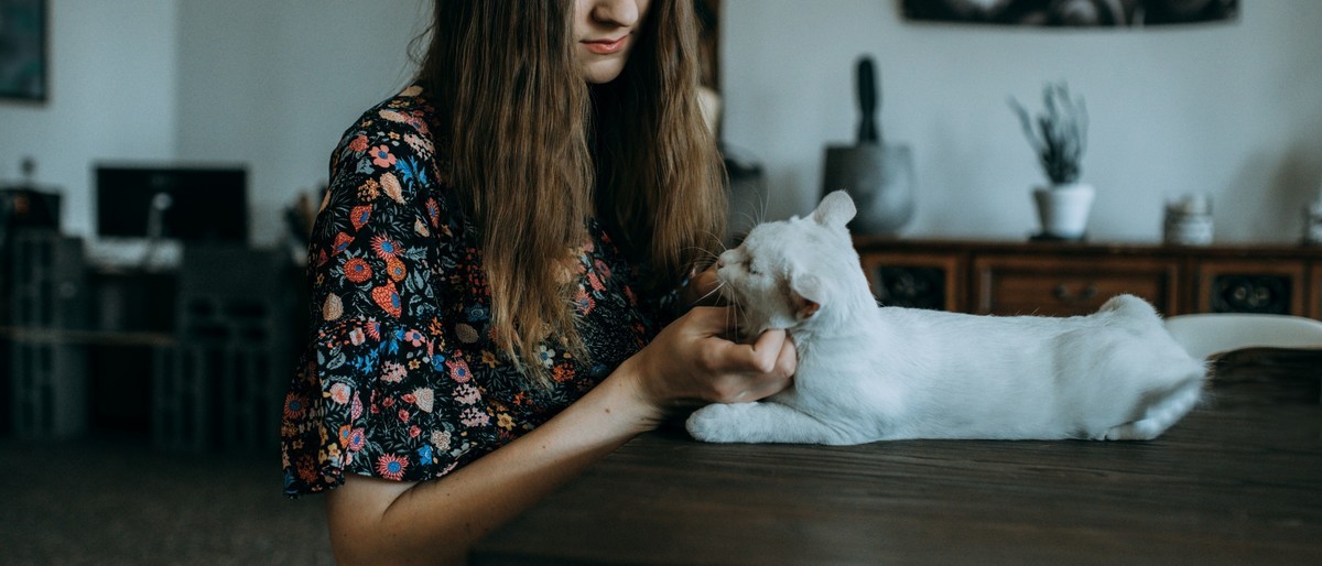 【罗兵】做我的猫