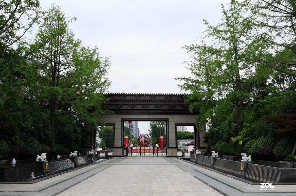 龙溪谷-趁检查绿化养护工作时候拍几张