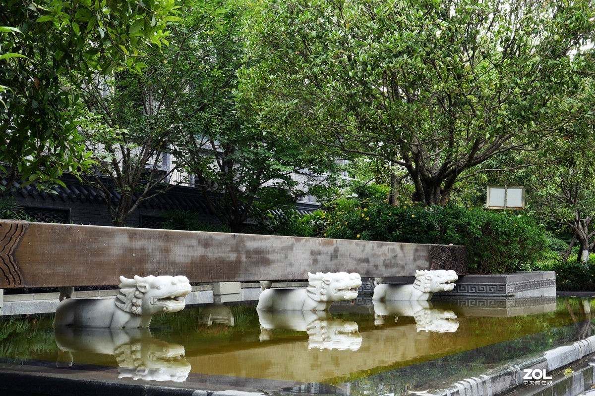 龙溪谷-趁检查绿化养护工作时候拍几张