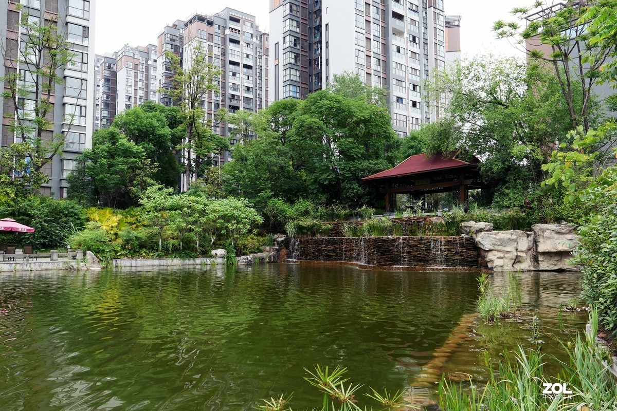 龙溪谷-趁检查绿化养护工作时候拍几张