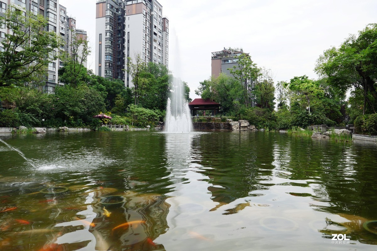 龙溪谷-趁检查绿化养护工作时候拍几张