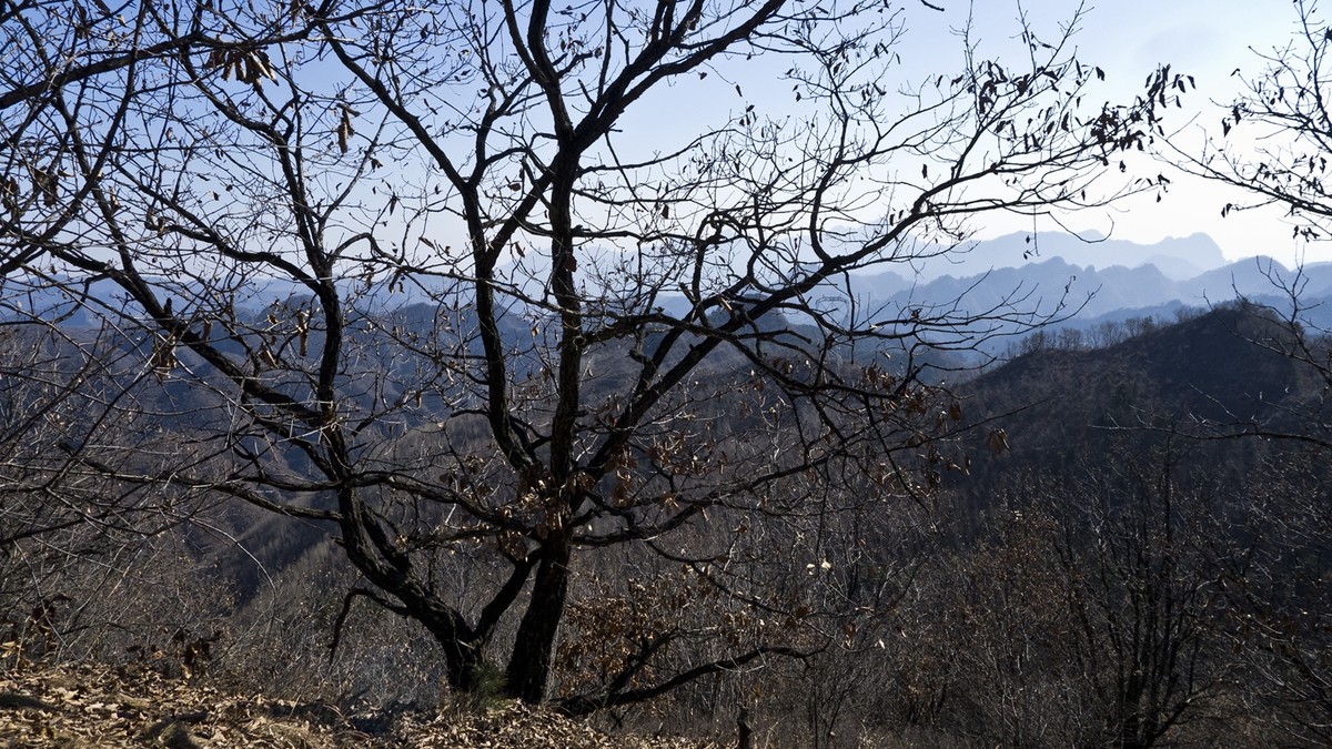 在承德兴隆的大山里面