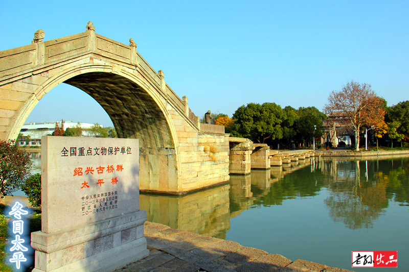 #我爱问神通# 沈园腊梅