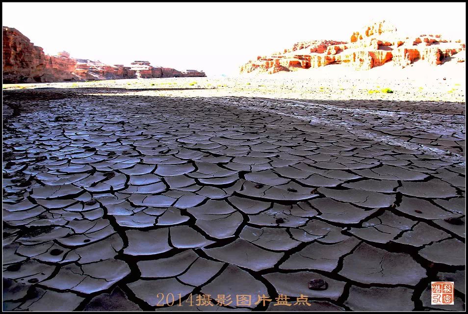 摄影—2014年摄影图片盘点