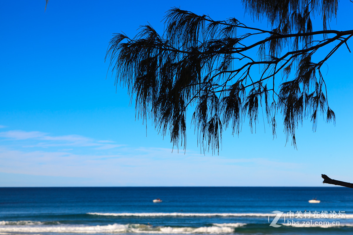 澳大利亚布里斯班掠影【9】