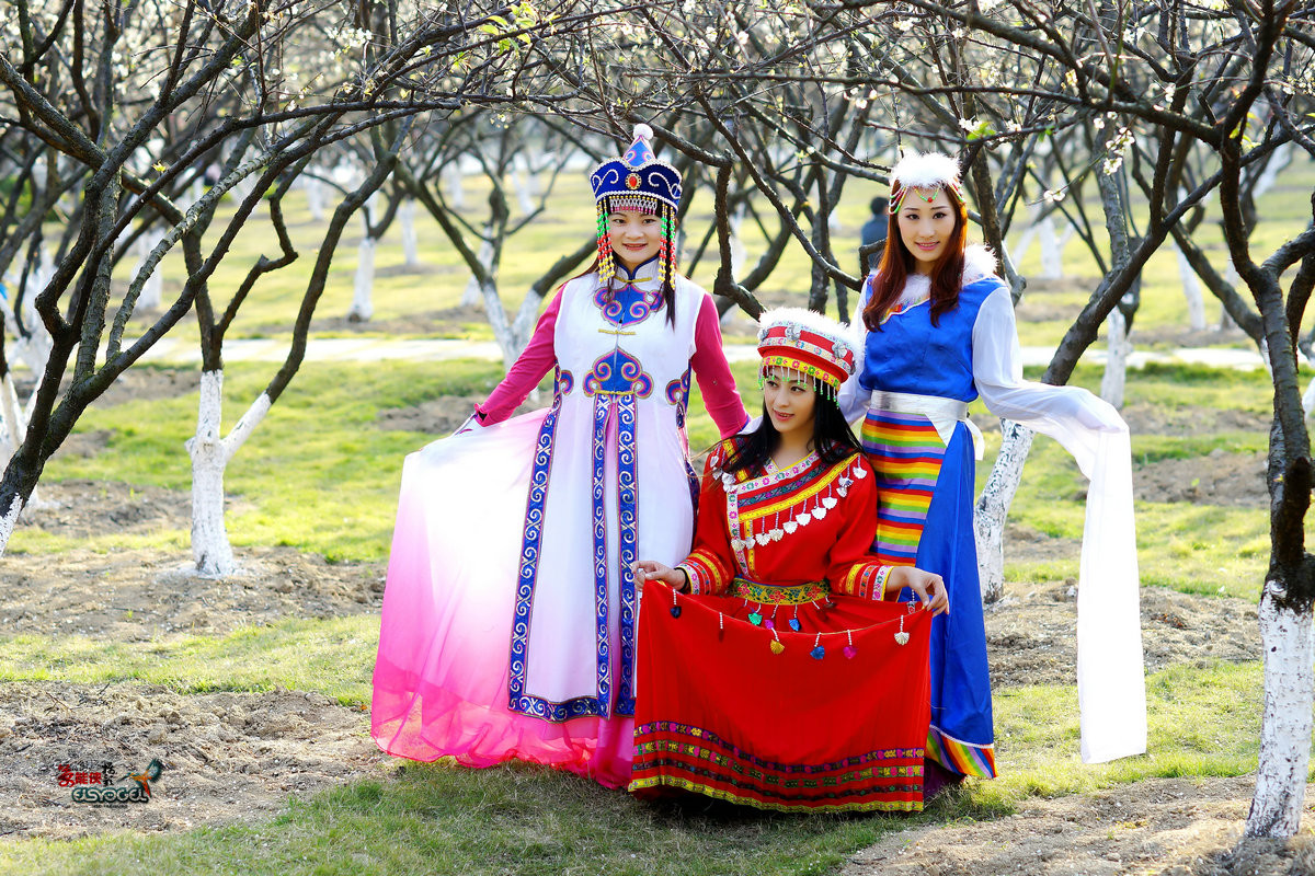 梅花树下的三姐妹