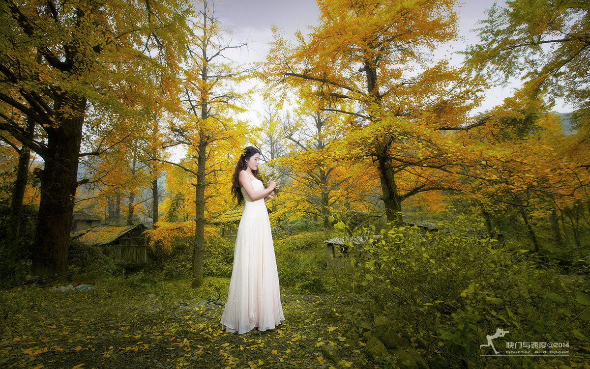 《人像版优秀作品》2014年12月