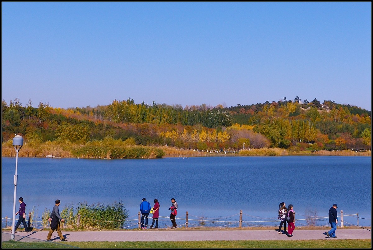 【奥森公园秋色】