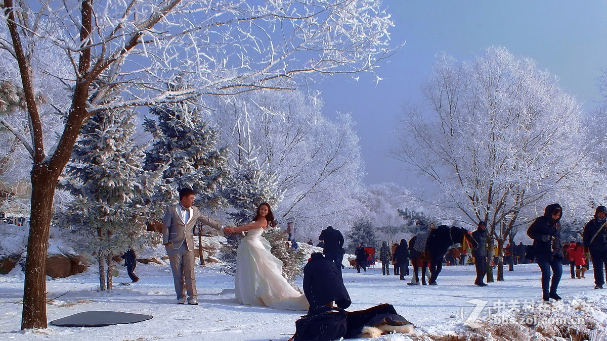 惊喜富士大版又添新主，携几片冬景支持苏敬远，胡杨林力挽狂澜！希望富士好友回家看看