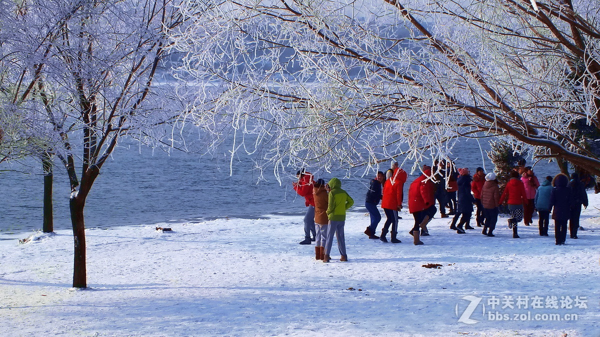 惊喜富士大版又添新主，携几片冬景支持苏敬远，胡杨林力挽狂澜！希望富士好友回家看看