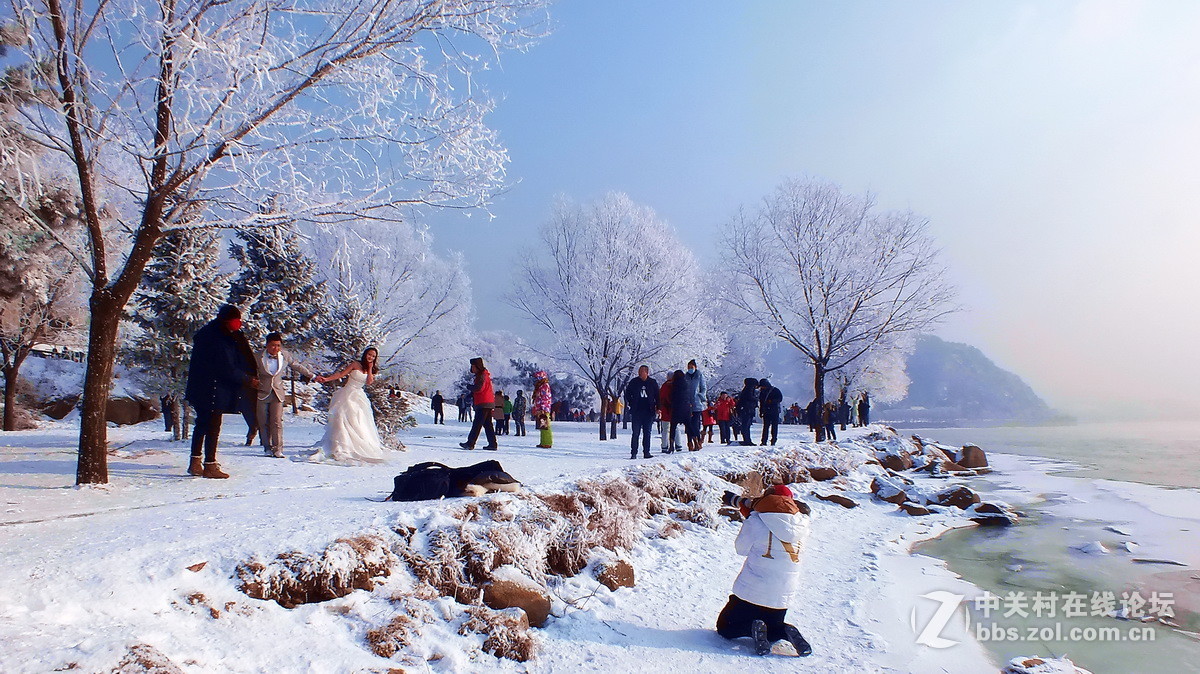 惊喜富士大版又添新主，携几片冬景支持苏敬远，胡杨林力挽狂澜！希望富士好友回家看看