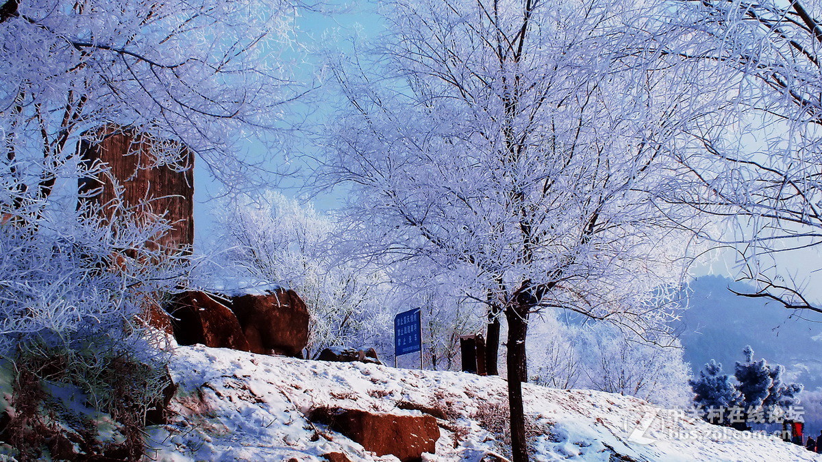 惊喜富士大版又添新主，携几片冬景支持苏敬远，胡杨林力挽狂澜！希望富士好友回家看看