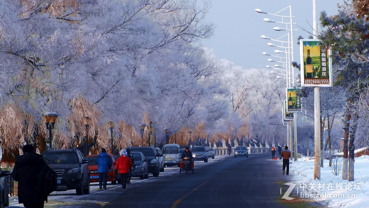 惊喜富士大版又添新主，携几片冬景支持苏敬远，胡杨林力挽狂澜！希望富士好友回家看看