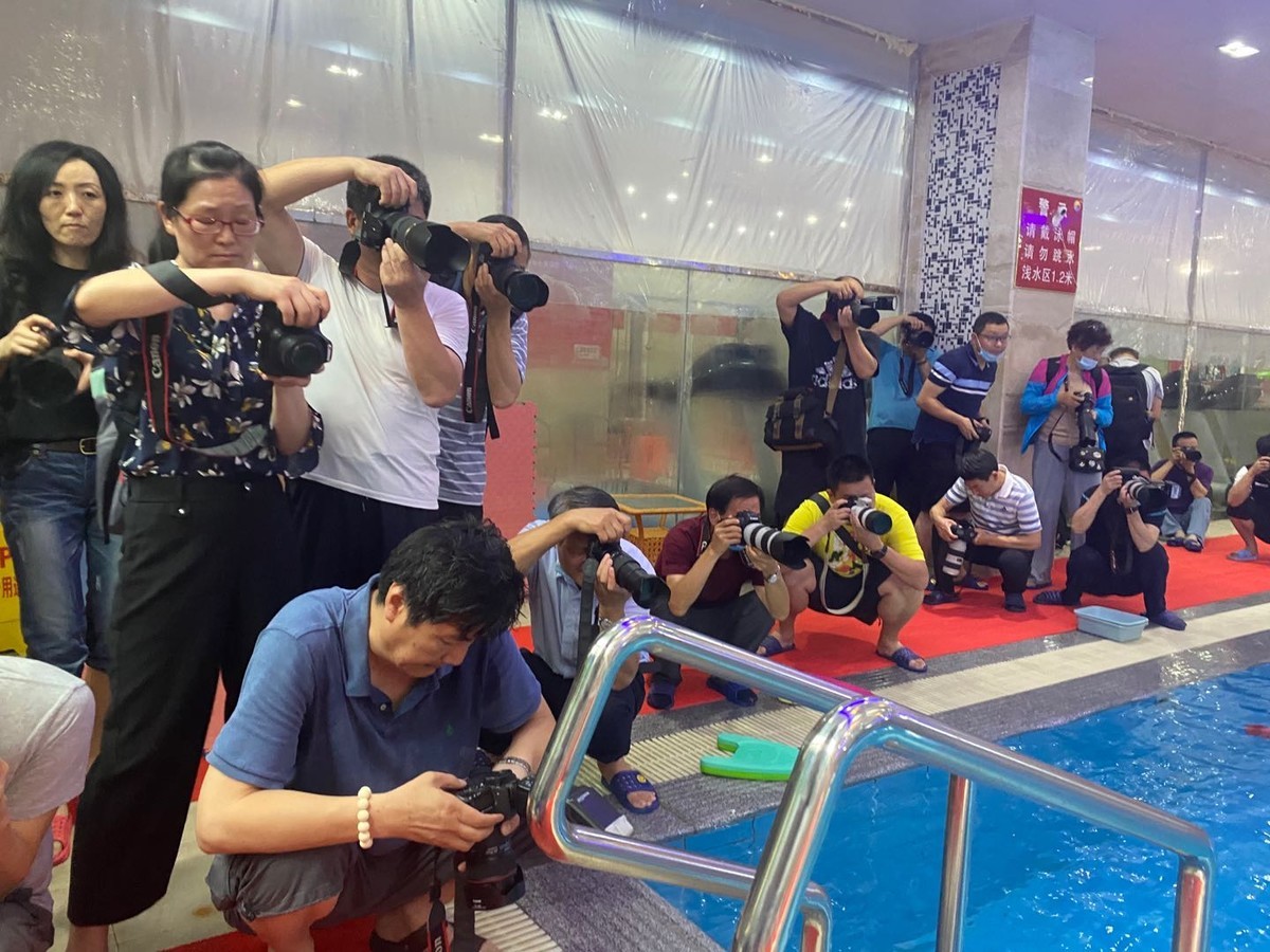 泳池摄影——老蛙华东俱乐部线下活动花絮
