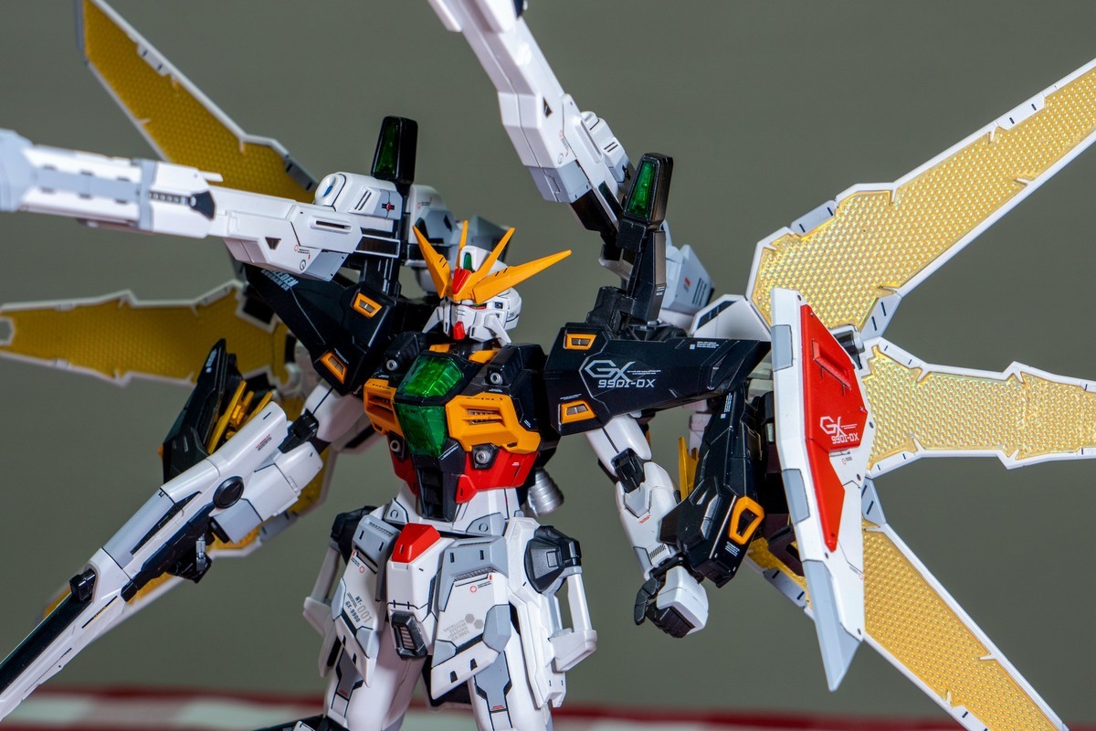 a7Rm4+FE 24-105mm F4.0 G OSS ( 生日礼物 )