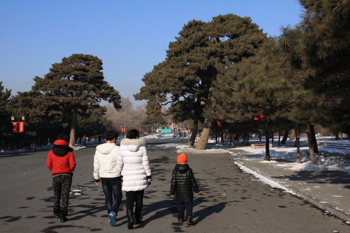 瀋陽印象北陵景22015122日拍攝於瀋陽北陵公園新習作求指教