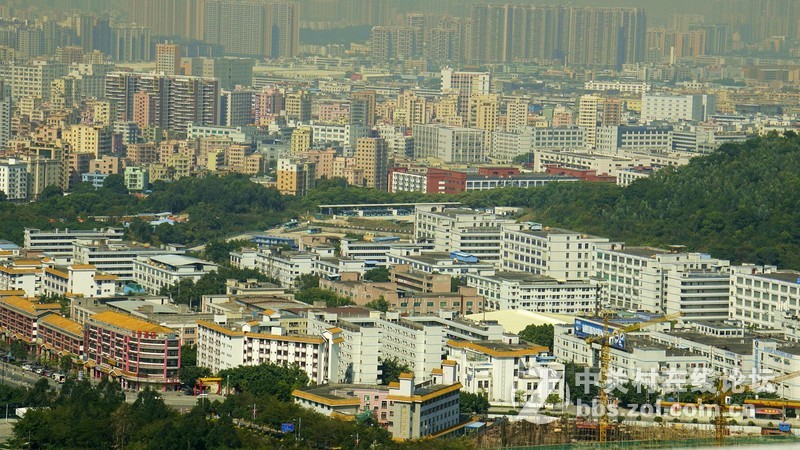 深圳市宝安区凤凰山隨拍