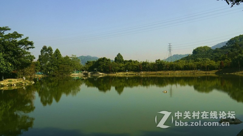 深圳市宝安区凤凰山隨拍