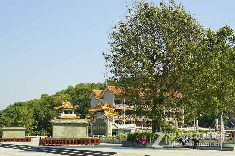深圳市宝安区凤凰山隨拍