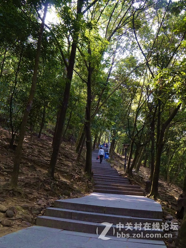 深圳市宝安区凤凰山隨拍