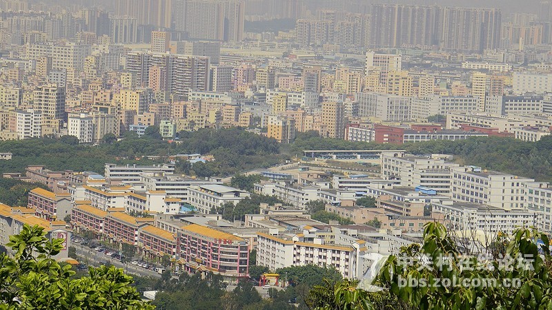 深圳市宝安区凤凰山隨拍