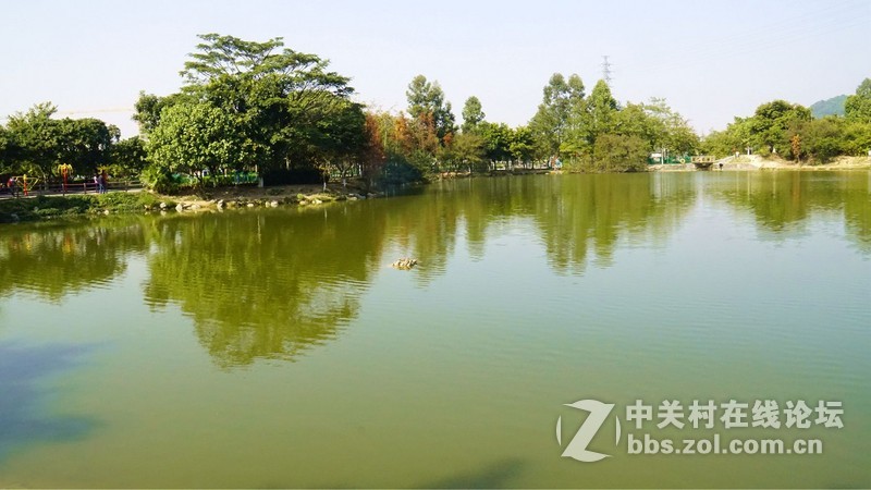 深圳市宝安区凤凰山隨拍