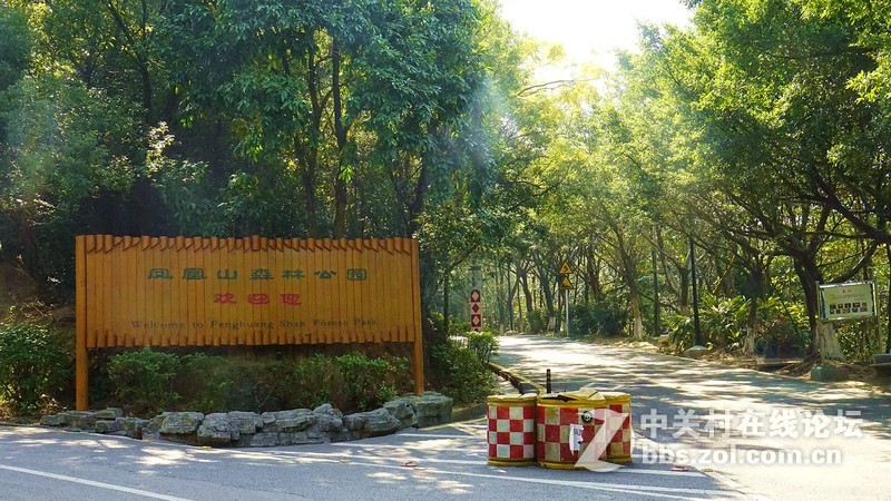 深圳市宝安区凤凰山隨拍