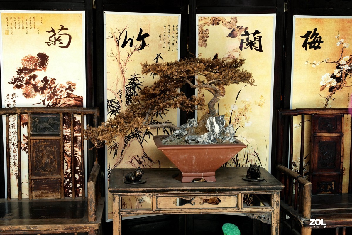 疫情数月后的第一次扫街（成都水津街）