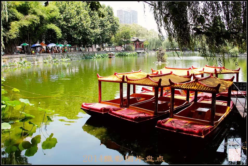 摄影—2014年摄影图片盘点