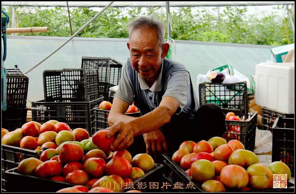 摄影—2014年摄影图片盘点