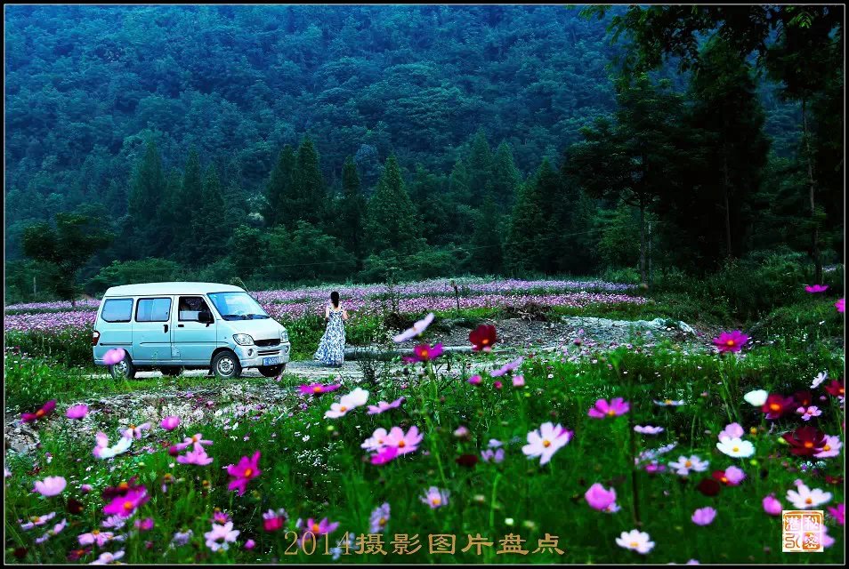 摄影—2014年摄影图片盘点