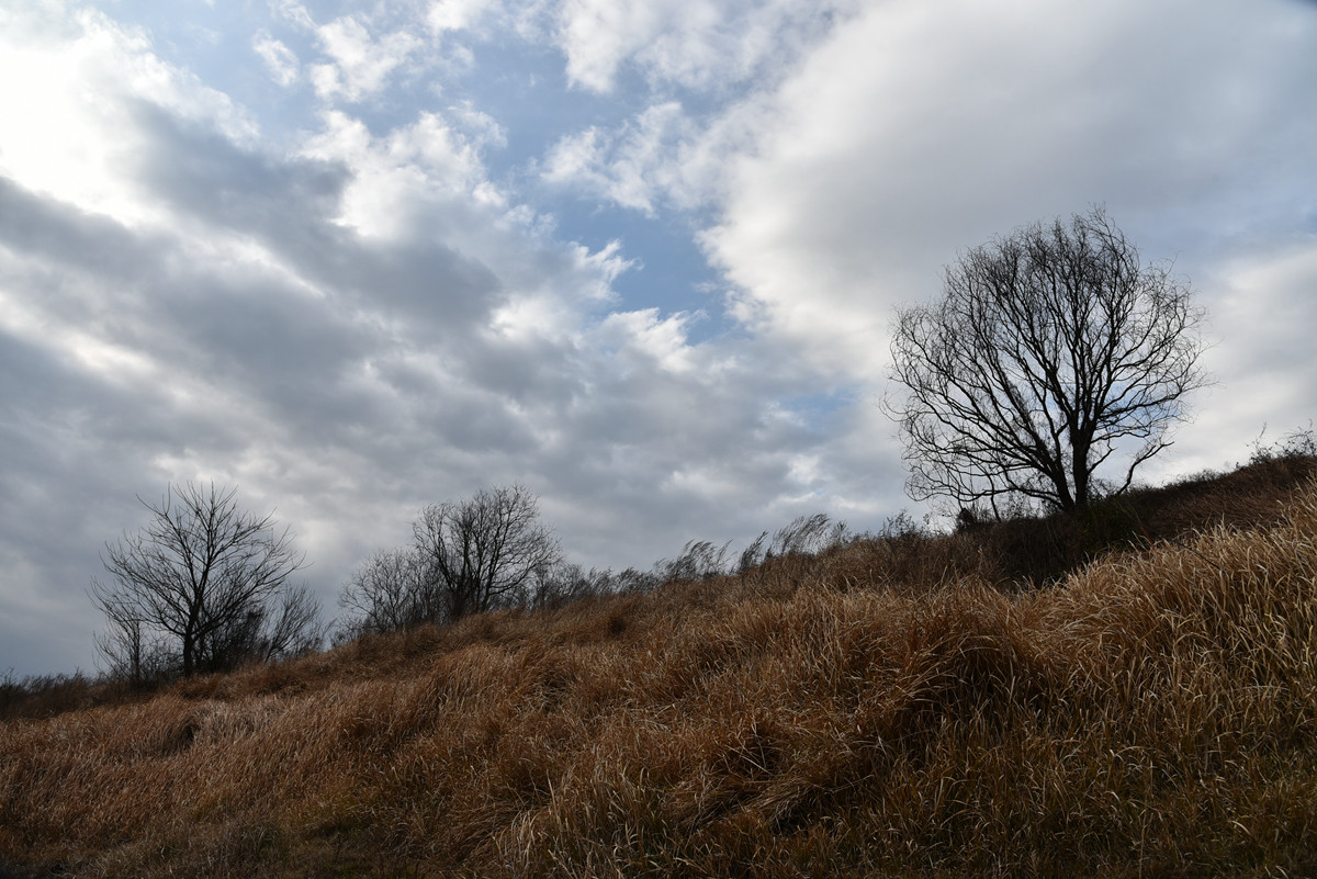 再发一些未做后期的照片，请各位师友指教。
