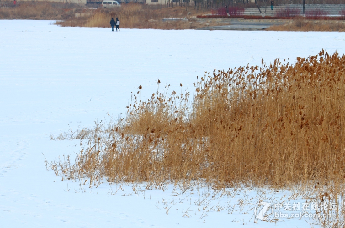 终于会发新版贴了