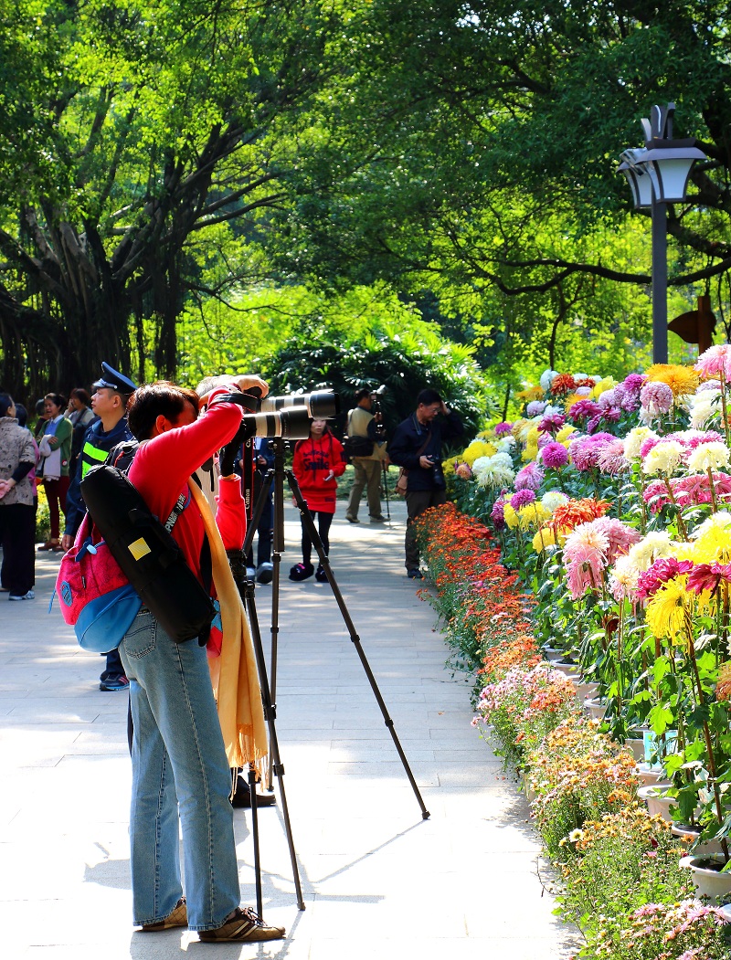 又学发大图：回顾2014