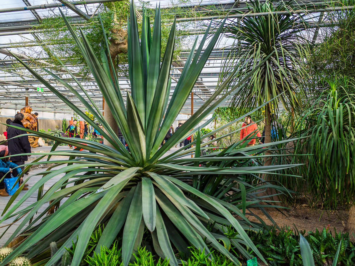 GR越用越爱------花卉大观园