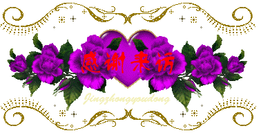 上海世纪公园冬色（三）