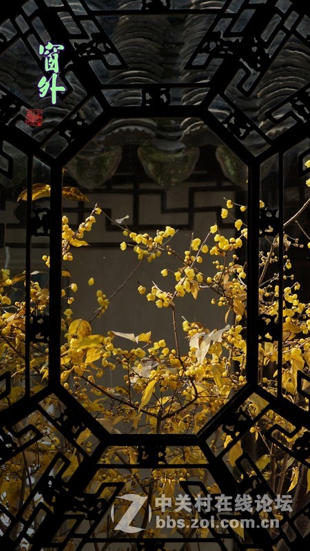 坚持用手动老头拍拍