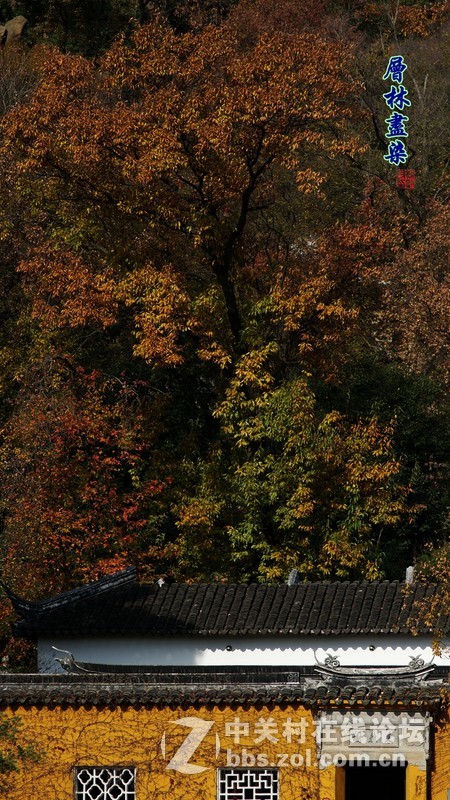 坚持用手动老头拍拍