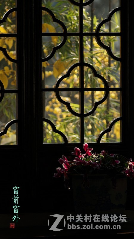 坚持用手动老头拍拍