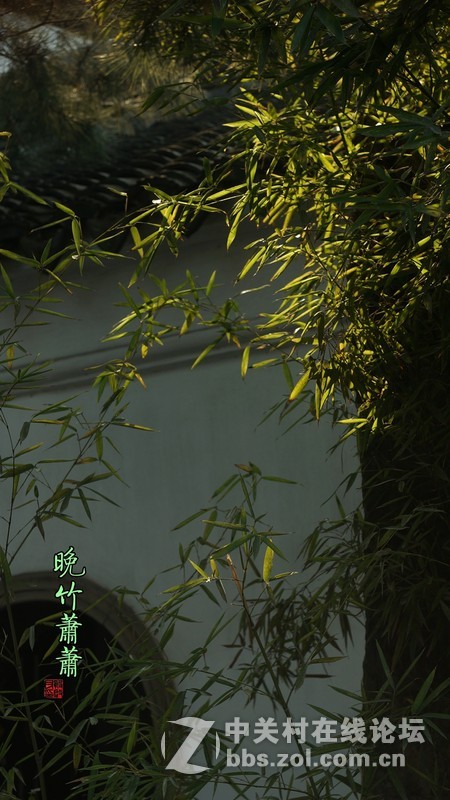 坚持用手动老头拍拍