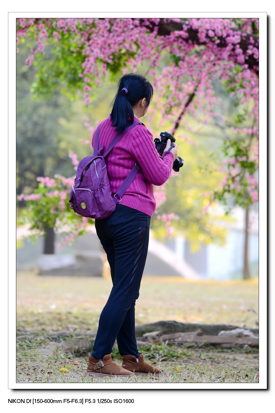 螳螂捕蝉---黄雀作业。