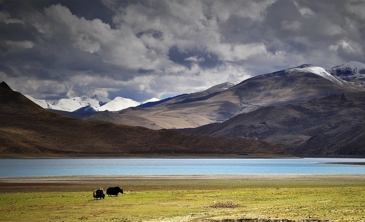 风  光  旖  旎  的  羊  卓  雍  错（续）