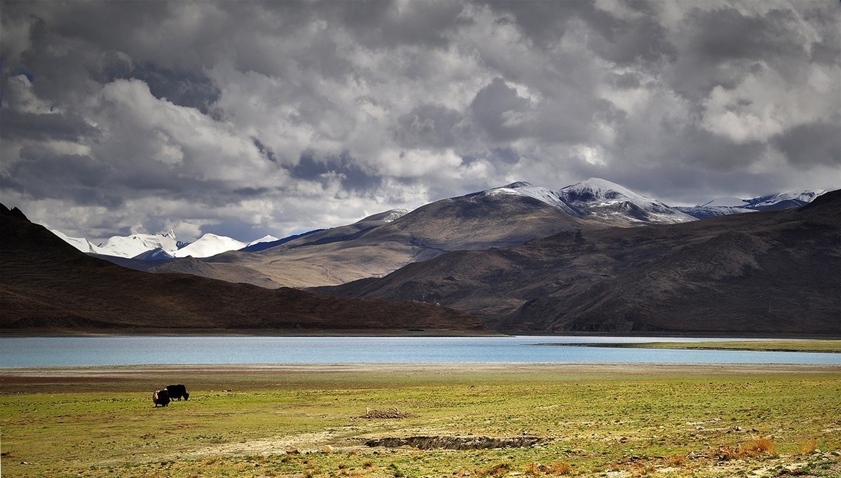 风  光  旖  旎  的  羊  卓  雍  错（续）