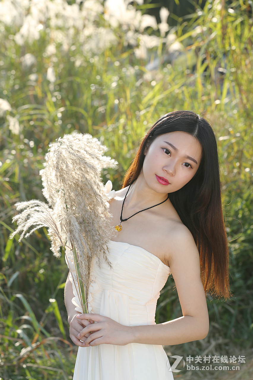 带美女来贺zol菏泽论坛成功开坛文亭好友出任首任执行官