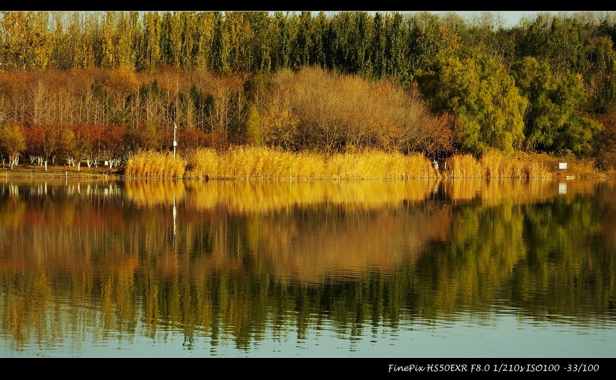 奥体森林公园初冬景色
