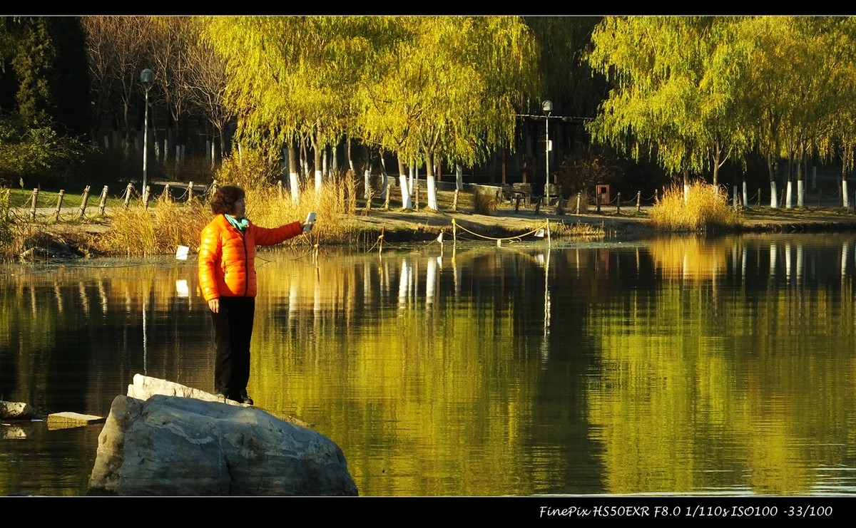 奥体森林公园初冬景色