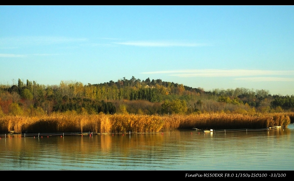 奥体森林公园初冬景色