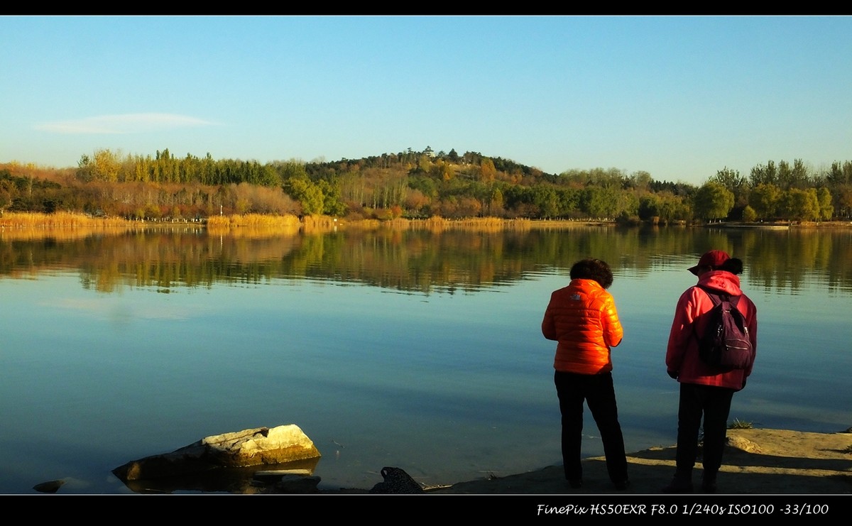 奥体森林公园初冬景色