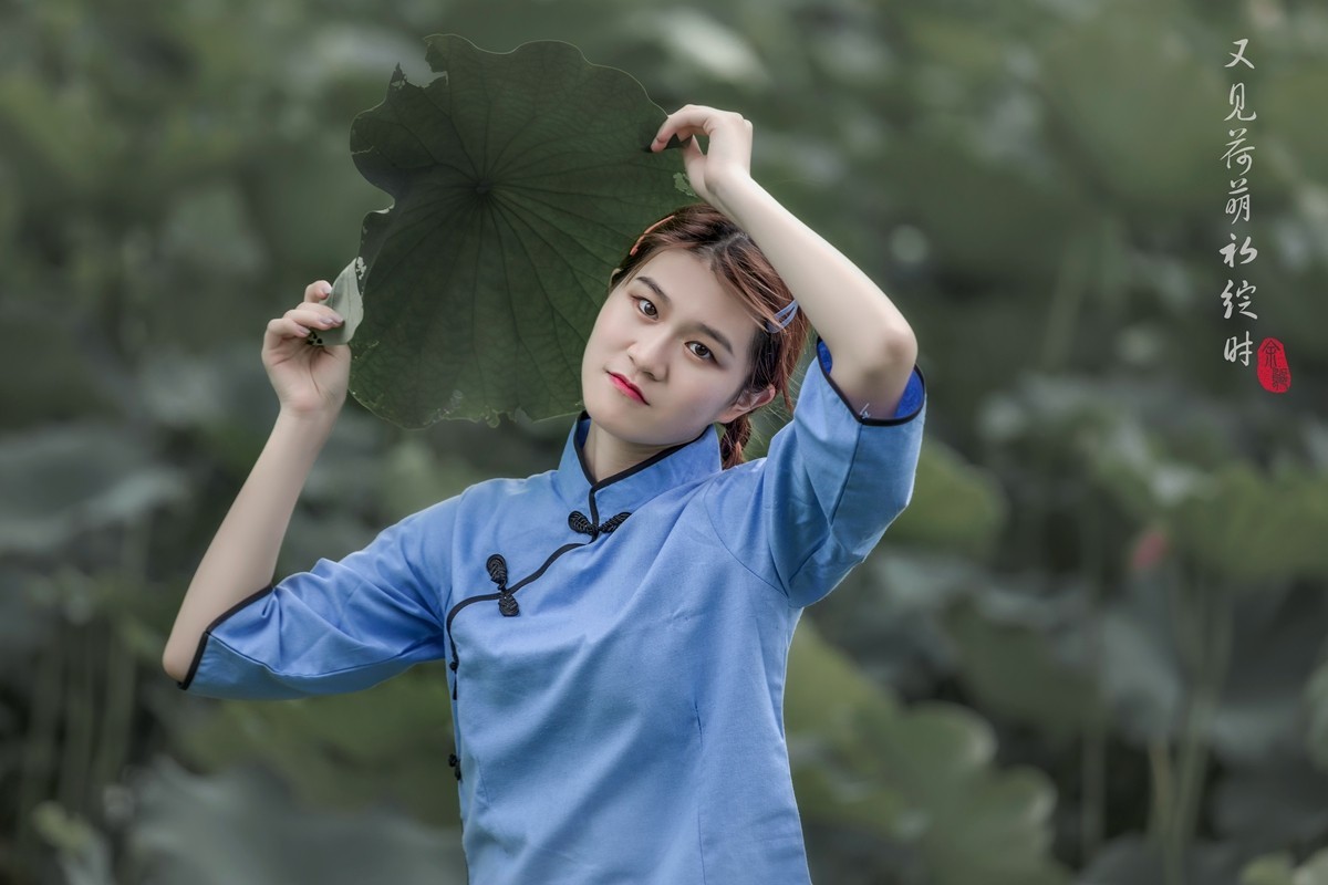 又见何萌初绽时